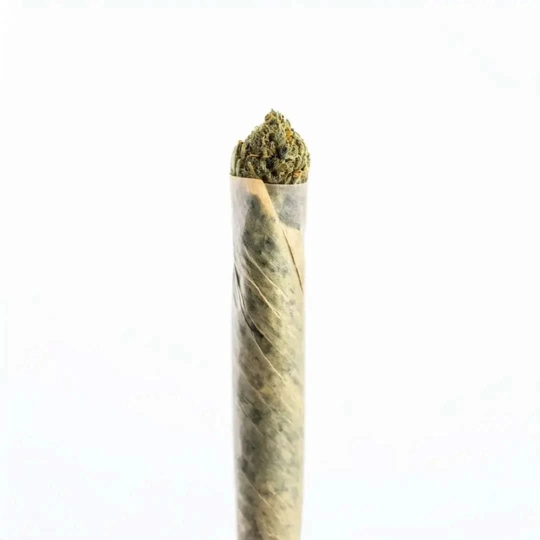 PRE ROLL 08-OH-HHC 65% - Weedforfriends