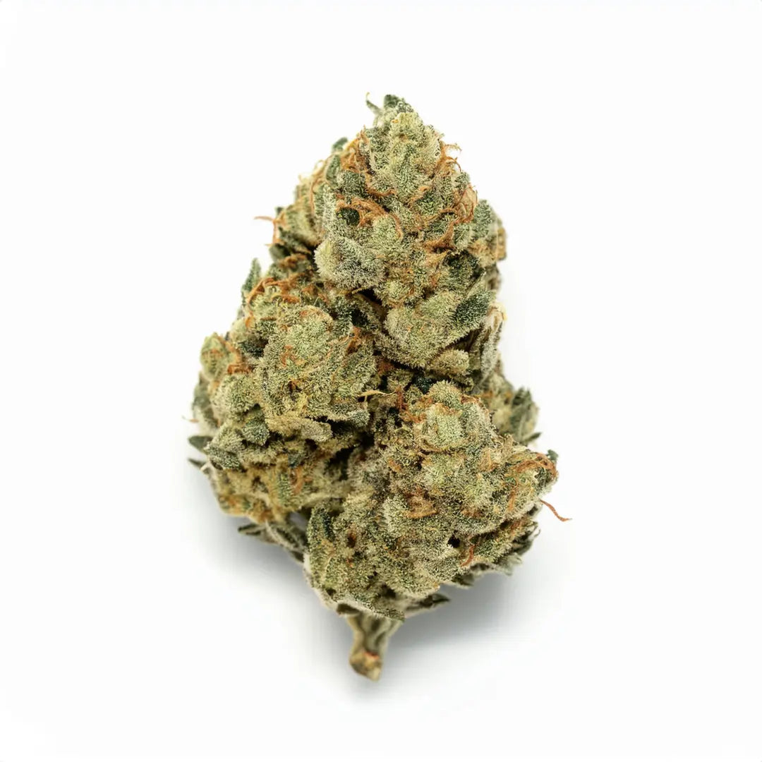 Amnesia CBD Premium Blüten - Weedforfriends