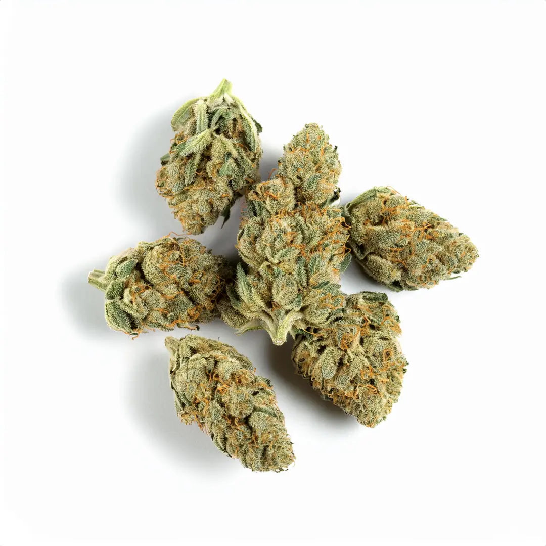 Amnesia CBD Premium Blüten Weedforfriends