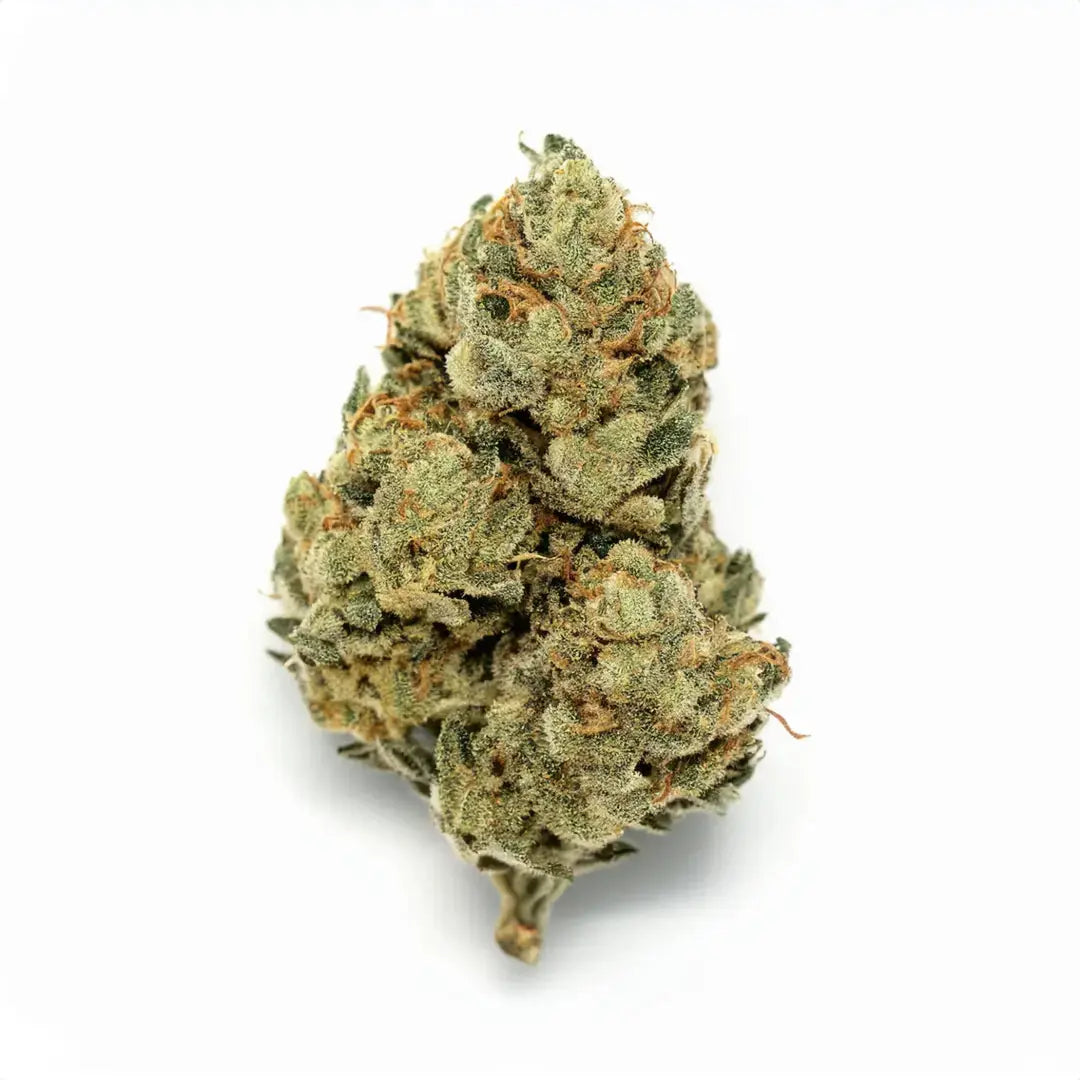 Amnesia HHCA 50%