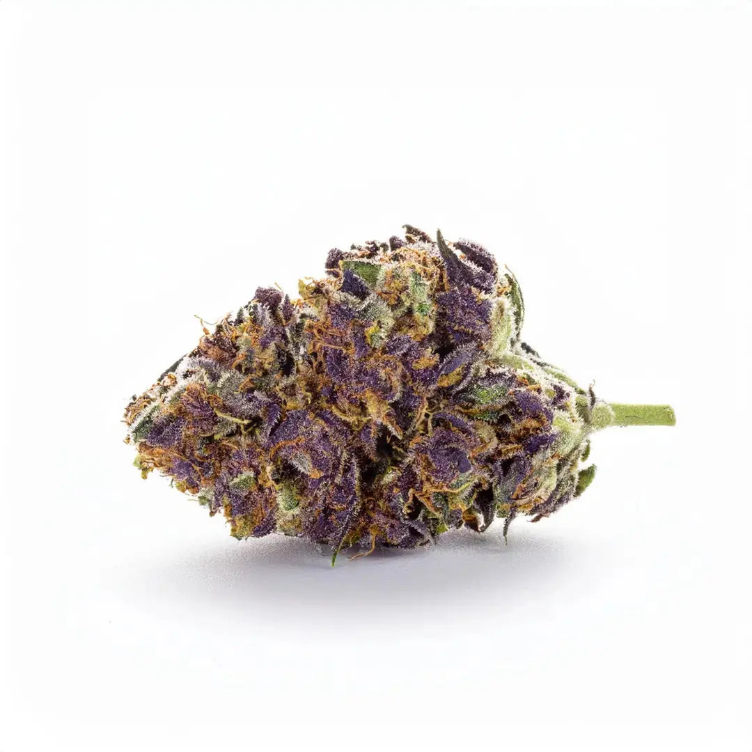 Purple Haze THP420 65%